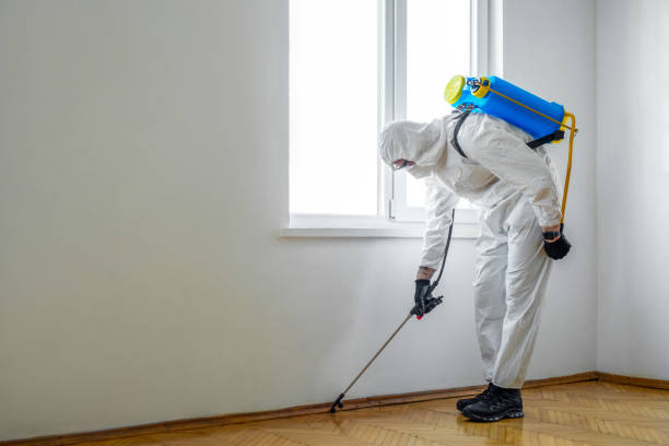 Best Pest Exclusion Services  in USA